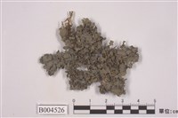 藏品(藍天貓耳衣)的圖片